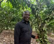 Central RegionalCOCOBOD Officeelevatedto directorship toboost cocoaproduction