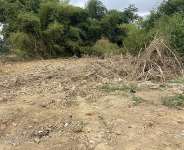 The Fight Against Galamsey: Who is Deceiving Whom, the Government or the Citizenry?