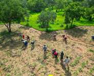 Four ideas that can help Ghana preserve food security when the next drought hits