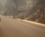 A man walks along a road bordering a forest scorched by a wildfire in Jijel, northeast Algeria, 27 August, 2026. -  AP