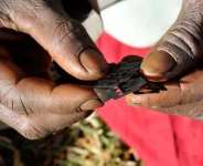 Gambia: Magistrate Court in CRR sentences three women for circumcising eight children