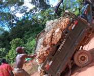 Rubber Processors warn of industry crisis over smuggling