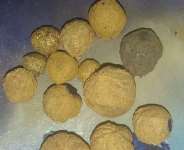 Some pure gold nuggets from Offin river