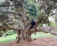 Rashad McCrorey in Aburi Botanical Gardens in West Africa Ghana