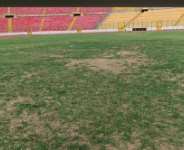 CAF stadium ban a disgrace to NPP commitment to sports