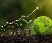Green on Paper: Why Ghanas Corporate Environmental Responsibility Must Outgrow Greenwashing