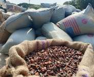 Cocoa Is the New Headline Act - Let Farmers Share the Stage