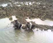 The Rejuvenating Waters Of Kyebi – Nana Addo’s Legacy Must Be Preserved