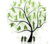 The Tree of Identity