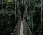 Kakum National Park: The Other Story