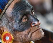  Evaristo SA / AFP