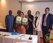 Ghana unveils 5-year plan to tackle heavy metals in food