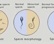 Dealing With Male Infertility-The Case Of Quantity And Quality (part 3)