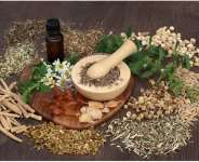The issue of 500,000 Herbalists Unlicensed: Is The Regulator Fighting the Regulatee?