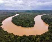 The Silent Price of Galamsey