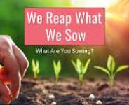 YOU ARE YOUR OWN MANYORO: What You Sow, You Reap