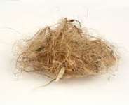 Great Nutrition: Kenaf, the multipurpose plant