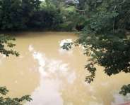 From Turbidity to Dechemicalisation: How Far with the Galamsey Fight?