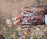 AU Rallies Together To Combat COVID-19