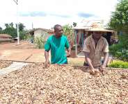 Sustainability Initiatives In The Cocoa Industry