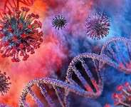 Coronavirus illustration photo