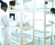 Gene Editing has limitless potential to reduce malnutrition - Global Food Expert