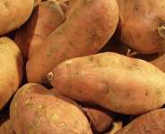 Africa Agriculture Status Report 2021 urges governments to make food insecurity a national security issue