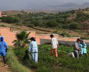 The Akrich tree nursery (located in Moroccos Al Haouz province) that benefits farming communities of the region, built on land lent without cost by the Moroccan Jewish Community (photo by HAF, 2024).
