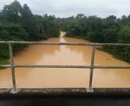 Sanctions or Death: Stopping Ghana’s Gold-Driven Ecocide