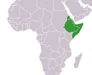 The security situation in the horn of africa