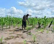 15 Lucrative Business Ideas To Explore In The Agri Sector – Part 1