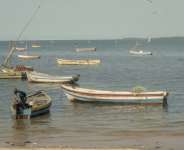 Mozambique has increased fuel prices, meaning that some fishermen cannot afford the fuel to go fishing.  By Emidio JOZINE (AFP)