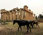 The archaeological site of Cyrene was the target of looting by jihadists when the country descended into chaos following the fall of Muammar Gaddafi in 2011.  By Abdullah DOMA (AFP)