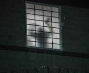 The silhouette of a person inside an ICE detention centre in Newark, New Jersey.  By Ryan MURPHY (AFP)