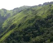 Nature Under Threat: The Battle to Protect Ghana’s Rich Biodiversity and Ecosystems