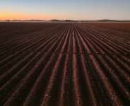 Thousands of white Zimbabwean farmers were evicted in a botched land reform programme in the early 2000s. By Zinyange Auntony (AFP/File)