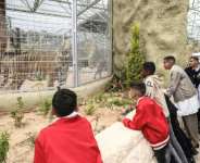 Tripolis zoo has reopened after 17 years.  By Mahmud Turkia (AFP)