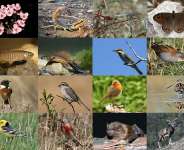 Biodiversity And Our Society