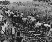 Amidus Folder: Tickling The Genesis Of Negro Colonialism