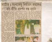 A report about minority tortue.