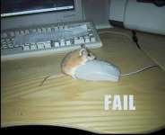 Why Most Blogs Fail, Is Your Blog Making Enough Money Online?