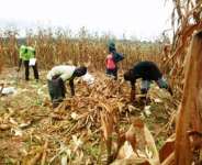 Climate Ghange And Government Efforts