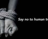 Combating Human Trafficking
