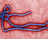 Ebola Virus Disease Not Yet Defeated in West Africa