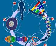 DNA Testing in Ghana