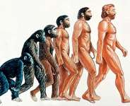 CREATION OR EVOLUTION