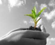 Transforming the Agric Sector in Ghana