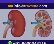 Kidney Transplantation