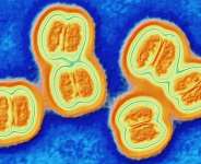 Pediatric Meningitis: A Guide for Parents to Identify and Respond Promptly