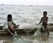 Halting Child Labour In Ghana